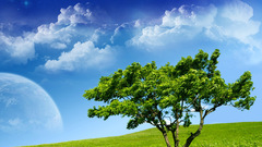 Clouds Landscapes nature Trees