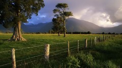 Clouds Landscapes nature Trees