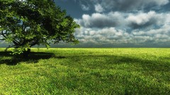 Clouds Landscapes nature Trees