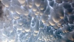 Clouds mammatus