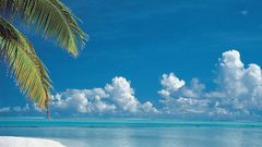 Clouds palm trees Beaches