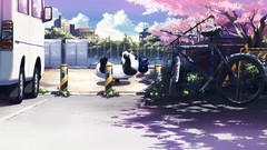 Clouds Park Shade Bicycles cherry blossoms sky tree