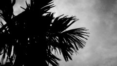 Clouds silhouettes monochrome