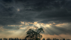 Clouds sun Trees fields