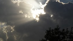 Clouds Trees light rays