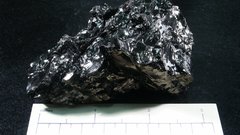 Coal