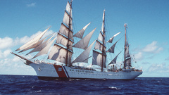 Coast guard eagle sails