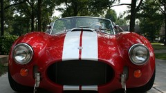 Cobra high dad Resolution