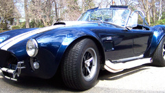 Cobra high Resolution