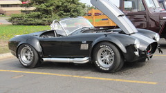 Cobra Shelby high Resolution cobras