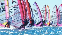 Coconut Florida grove trials