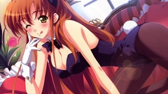 Code geass bunny girls