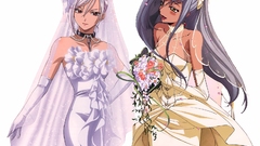 Code geass Nu Villetta