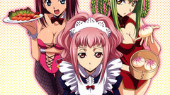 Code geass Stadtfeld Kallen