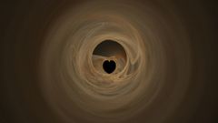 Coffee abstract apophysis Hearts