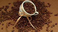 Coffee Beans