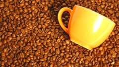 Coffee Beans coffee cups