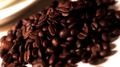 Coffee beans kaffeebohnen kaffee