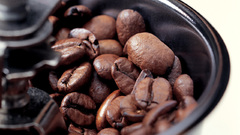 Coffee beans mill kaffeebohnen