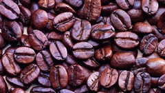 Coffee Coffee Beans