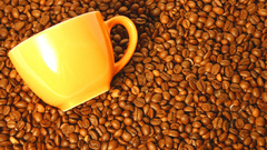 Coffee cups Coffee Beans