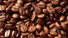 Coffee food beans bean