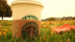 Coffee grass starbucks