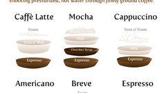 Coffee Italian infographics