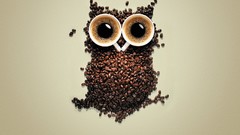 Coffee Owls Coffee Beans