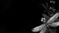 Coheed dragonfly high