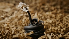 Coil Cables snakes cardboard Internet creativity Ethernet cable 