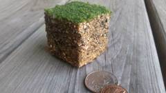 Coins grass dirt minecraft