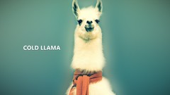 Cold deviantart llama