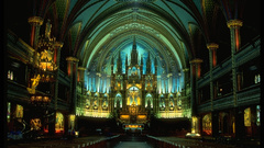 Cold gold golden gate