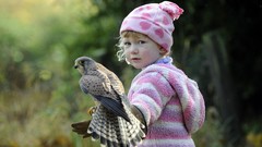 Cold pink children Birds depth of field falcon bird