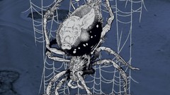 Coliseum album covers hardcore music