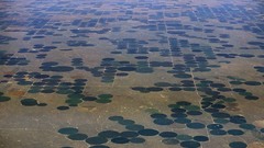 Colorado crop circles