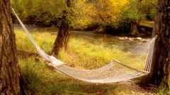 Colorado hammock
