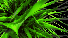 Colored high stolen thunder whoop Resolution