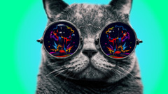 colorful glasses digital art Simple Background Animals cats