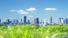 colorful grass Japan Photoshop digital art skyscraper clouds sky