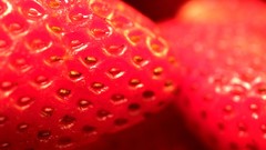 Colors Vitamins fruits fresh strong