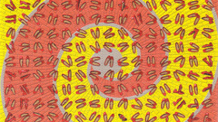 Com rows ruby slippers