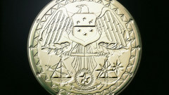 Combat eagle USA military