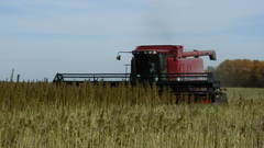 Combine harvester farming agriculture