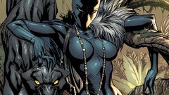 Comics marvel comics Black Panther comics J. Scott Campbell