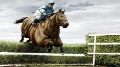 Commercial Thomas Mangold