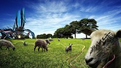 Computer generated and Games