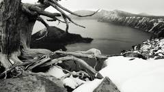 Computer vista death and