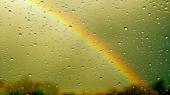 Condensation rain on glass